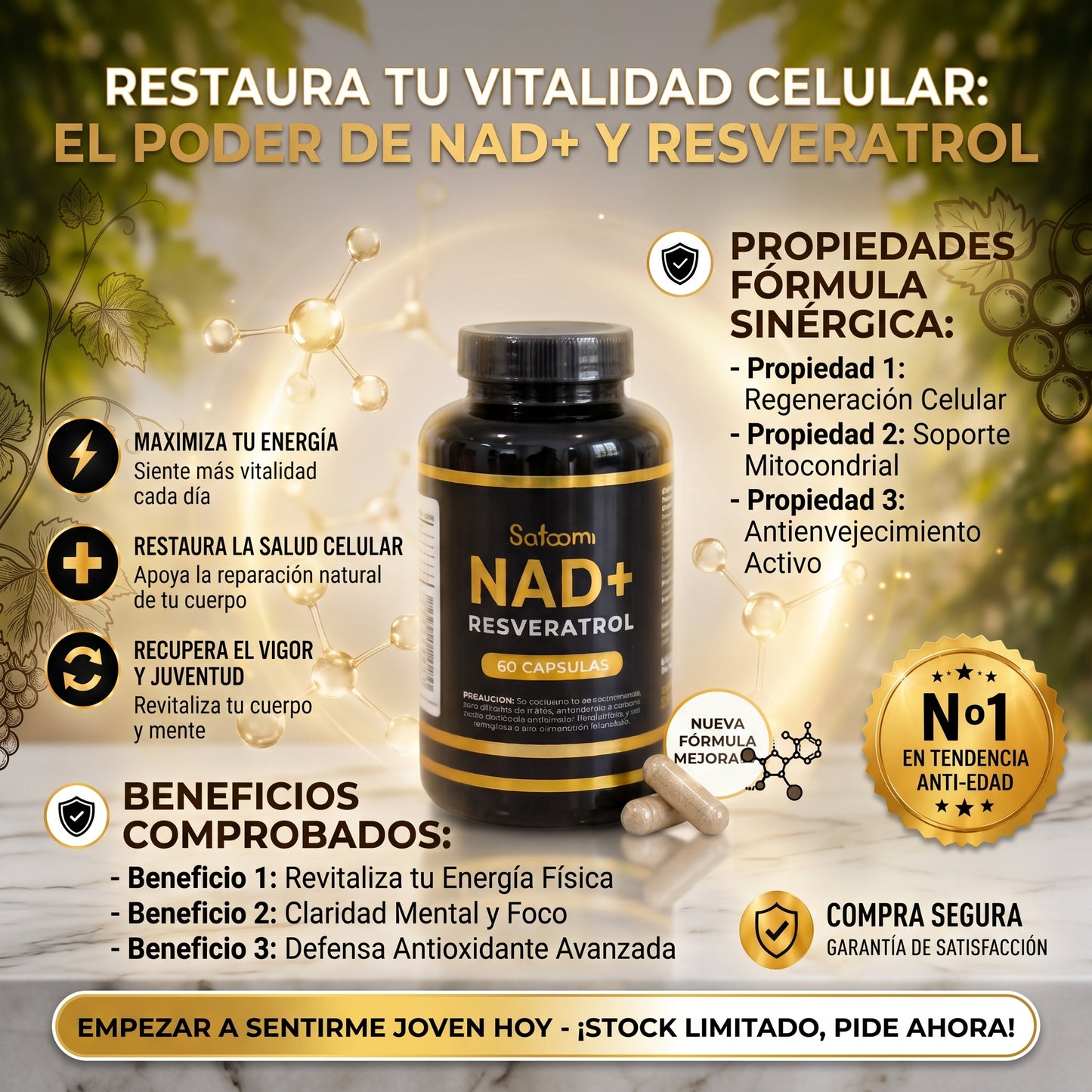 NAD+ Resveratrol™ - 60 Cap